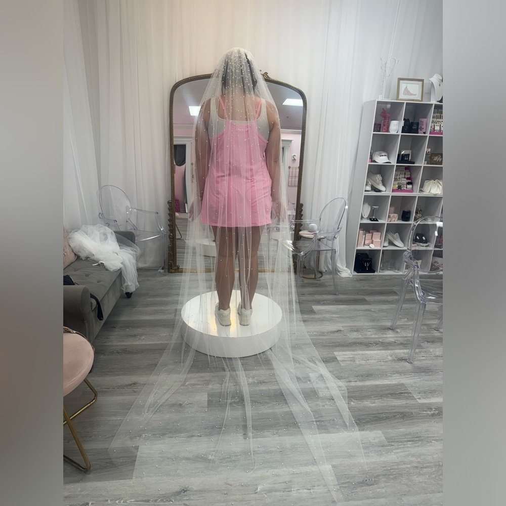 Beautiful Pearl Veil Never Worn